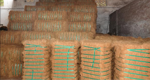Fiber de coco 100% naturelle et écologique, vente en gros, Fiber de noix de coco - Product Image 6