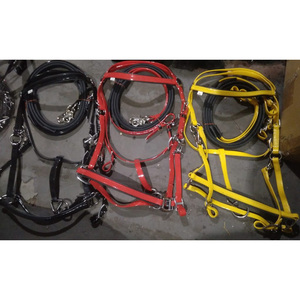 Juego de bridas coloridas de PVC con riendas en accesorios de acero EN tamaño full COB Shetland Dollar 9 - Product Image 2