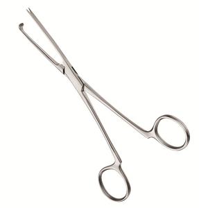 Localisateur à rabat PITANGUY, 6 1/4 pouces (16 cm) , 10 pouces (25.5 cm) - Product Image 1