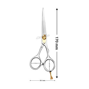 Tijeras Profesionales para Cortar Cabello con Tornillo de Tensión Ajustable y Reposamanos Desmontable Plateadas para Barbería - Product Image 4
