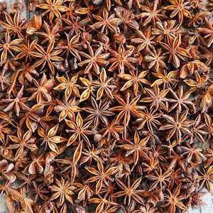 Hierba de anís estrellado de otoño excelente de alta calidad de Vietnam WS + 84359166896 Nuevo mercado crudo seco listo con precio - Product Image 2