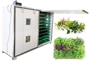 Machine de culture de haricots hydroponiques, 50 pièces, pour semis de haricots hydroponiques, d'entraînement - Product Image 2