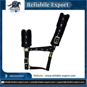 La mejor calidad, polipropileno PP, cabestros australianos para SILLÍN, nuevo fabricante de lanzamiento, proveedor ofrece el mejor precio a granel - Product Image 6