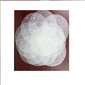 Vietnam 100% Edible Rice <b>Paper</b> 22 cm Dried Reasonable Price for Adults Packaged in Bag Wholesale - Product Image 1