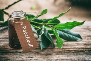 Huile Essentielle Patchouli Pure Biologique - Product Image 4