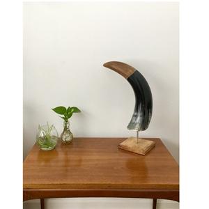 Cuerno decorativo de buey hecho a mano, bocina decorativa Natural pulida y brillante - Product Image 6
