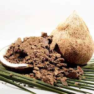 Harina de palmera de coco 24% de alta proteína, alimento para animales, ganado, pollo, vaca, cerdo, oveja, cabra en Mafraq yarda