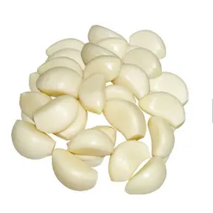 Garlics الأبيض الطازج