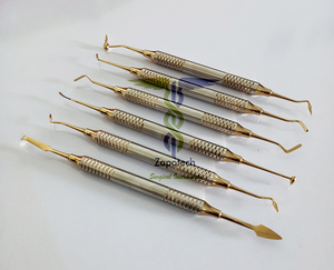 Juego de Instrumentos Quirúrgicos de Acero Inoxidable de Alta Calidad para Rellenos Dentales de Composite, Fuente de Alimentación Manual - Product Image 2