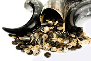 Boutons en corne de buffle brute, différentes tailles, boutons non finis, blancs, pour les industries de l'habillement, disponibles en différentes options de couleurs - Product Image 6