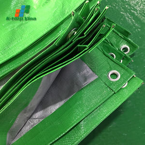 Hoja de lona de polietileno de alta densidad al mejor precio Cantidad a granel Material PE con servicio de procesamiento de corte personalizado - Product Image 1