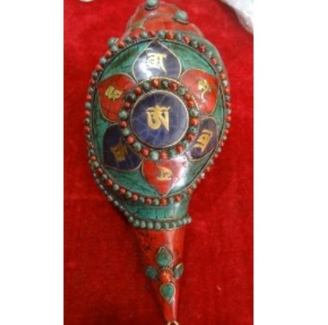 มีสีเขียวขุ่น