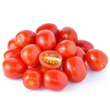 품질 신선한 체리와 로마 토마토 판매