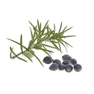 Aceite Esencial de Cade Puro Certificado, Origen España, Destilado al Vapor, con Propiedades Reafirmantes y Nutritivas - Proveedores Mayoristas a Bajo Precio - Product Image 3