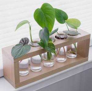 Best Selling Glass Flower Vase for Home Hotel Restaurant Decorative Flower Vase Decor Clear Color Modern Design Glass Plant Vase - Product Image 4