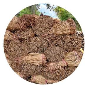 Vente en gros de matières premières écologiques jacinthe d'eau sèche/jacinthe d'eau séchée pour la fabrication d'artisanat Mme Lily + 84 906927736 - Product Image 1