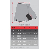 Blaze Fight Wear Vêtements de fitness pour hommes Shorts d'entraînement pour hommes Entraînement Lifting WOD MMA Crossfit Gym Shorts de course