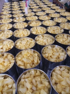 Best Taste Canned <b>Pineapple</b> Slices - Canned <b>Pineapple</b> Fruit in Syrup Bulk Taste Preserved Food - Product Image 5