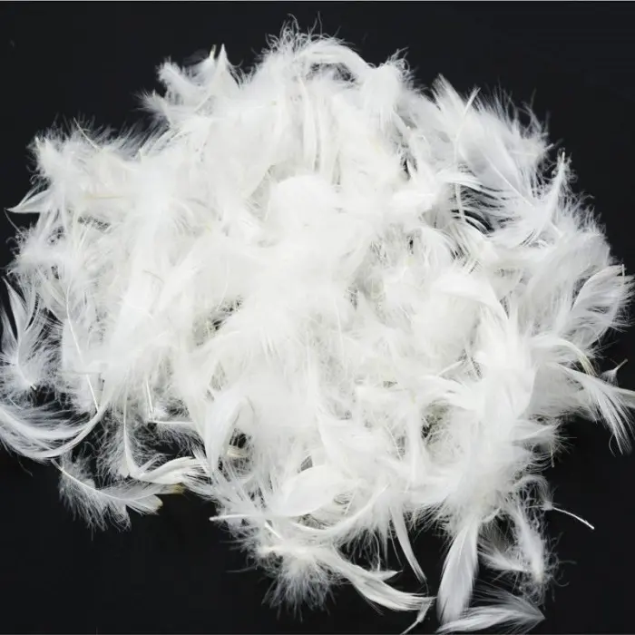 DUCK FEATHER WHITE FEATHER NO SMELL CUSHION FILLING DUCK FEATHER EXPORTING FROM VIET NAM/ TERESA +84971482716