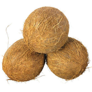 แกลบมะพร้าวเวียดนามขาย - Product Image 1