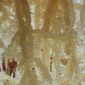 Wholesale Irish Sea <b>Moss</b> / <b>Dried</b> Sea <b>Moss</b> - Product Image 3