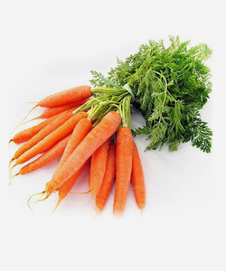 Fresh Daucus carota red carrot - IQF Carrot cube customer cutting Fresh carrots