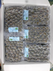 Gran Venta 15% |    Dracontomelon Congelado de Vietnam |   Alta Calidad y Mejor Precio - Product Image 3