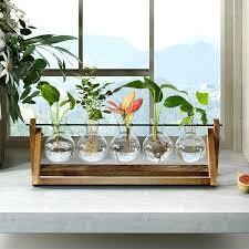 <b>BULB</b> <b>VASE</b> FLOWER Plant Terrarium With Wooden Stand, Air Planter <b>Bulb</b> Glass <b>Vase</b> Metal Swivel Holder Retro Tabletop - Product Image 4