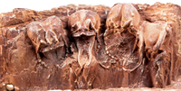 Empire Ants - Statue de fourmis en plastique écologique, thème Roches du Désert Rouge, pour fourmilière, maison de fourmis, 20X12X15cm, Classique, Toutes saisons