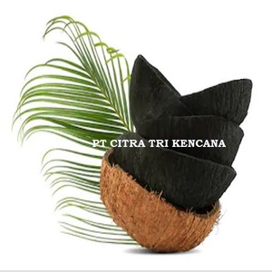 0.1 ASH 7800 Kaitangata Otago NOUVELLE-ZÉLANDE CHARBON DE COQUILLE DE COCO NATUREL EN BRICQUETTES MACHINE SHISHA HOOKAH, CARBONE ACTIVÉ - Product Image 1