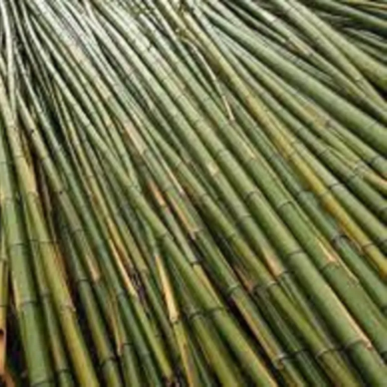 O mais realista olhando poles de bambu artificiais