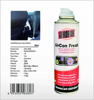 Aerosol Car Airco Spray Cleaner Car Airco FreshのCar Care Products