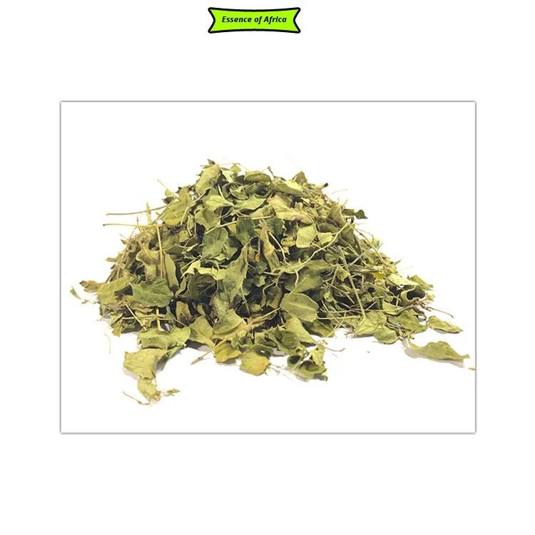 Groothandel Prijs Top Notch Kwaliteit Bulk Selling Antioxidanten Moringa Bladeren Van Oeganda