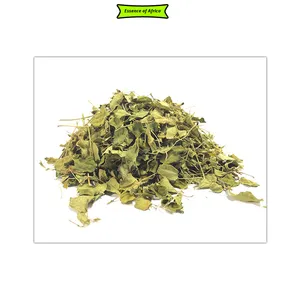 Toptan fiyat üst çentik kaliteli toplu satış antioksidanlar Moringa yaprakları Uganda