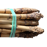 Meilleures ventes CHGLOBAL Manau Roots 3m 4m Matériau en rotin naturel brut de haute qualité pour meubles et artisanat en Asie du Sud-Est