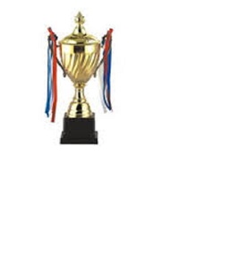 Trofeo de Premio Dorado de Metal para funciones escolares y competición, precio al por mayor - Product Image 2