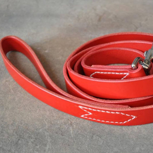 หนังสีแดงจูงสุนัข6ฟุตโดย1นิ้วฟรีชื่อส่วนบุคคลที่มีชื่อ - Product Image 1