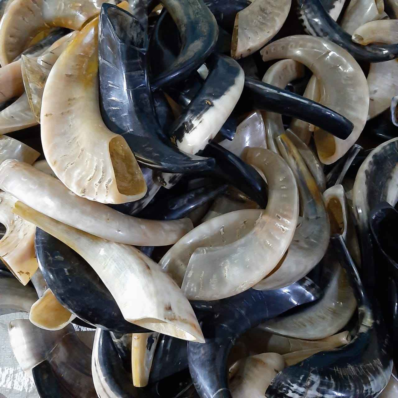 ธรรมชาติ