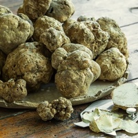 36 g Truffe Blanche Élixir De Pulvérisation de qualité Supérieure Giuseppe Verdi Sélection GVERDI fabriqué en Italie