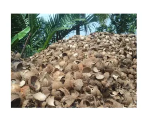 Máquina de fabricación de carbón de cáscara de coco seca de la mejor calidad para exportación