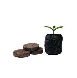 Comprimés de croissance de coco du Vietnam, pièces, mousse de pâte à modeler, - Product Image 4