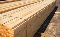 Madera de Pino Radiata Estándar Australiana MGP-10, Madera de Pino MGP 10 para Construcción de Estructuras