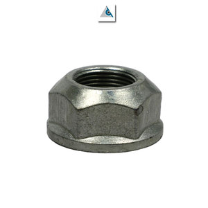 การผลิตตามสัญญาความแข็งแรงสูงที่กำหนดเองทำสแตนเลส M22 * 1.5แกน Hex Nut - Product Image 1