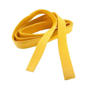 Cinturón de Taekwondo de acero colorido logotipo personalizado equipo de entrenamiento Unisex para uso en gimnasio en Karate Judo Kung Fu Jiu-Jitsu MMA - Product Image 2