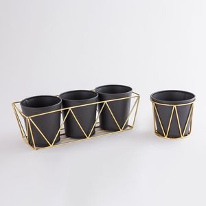 Best Selling Promotional High Quality Planter Metal Home Garden Decoration Flower Pots High Quality - Product Image 2
