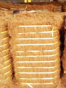 Fibre de coco / Fibre de coque de noix de coco / Fibre de coco - Product Image 2