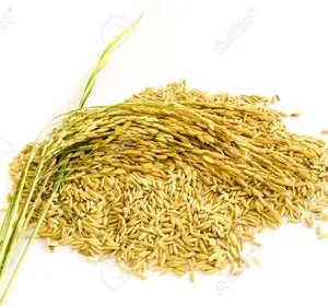 थोक धान चावल, लंबे समय से अनाज चावल/कच्चे सामग्री चावल/बनाने के लिए धान चावल-गर्म बिक्री 2022