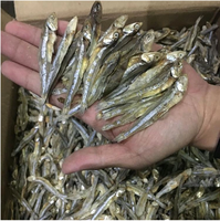 Vente en gros de filets de poisson anchois salés à faible teneur en sel, emballage en vrac, qualité supérieure / Shyn Tran