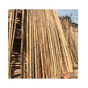 Approvisionnement d'usine bon marché poteaux en bambou traité écologique canne en bambou naturel écologique du Vietnam 99GD - Product Image 1