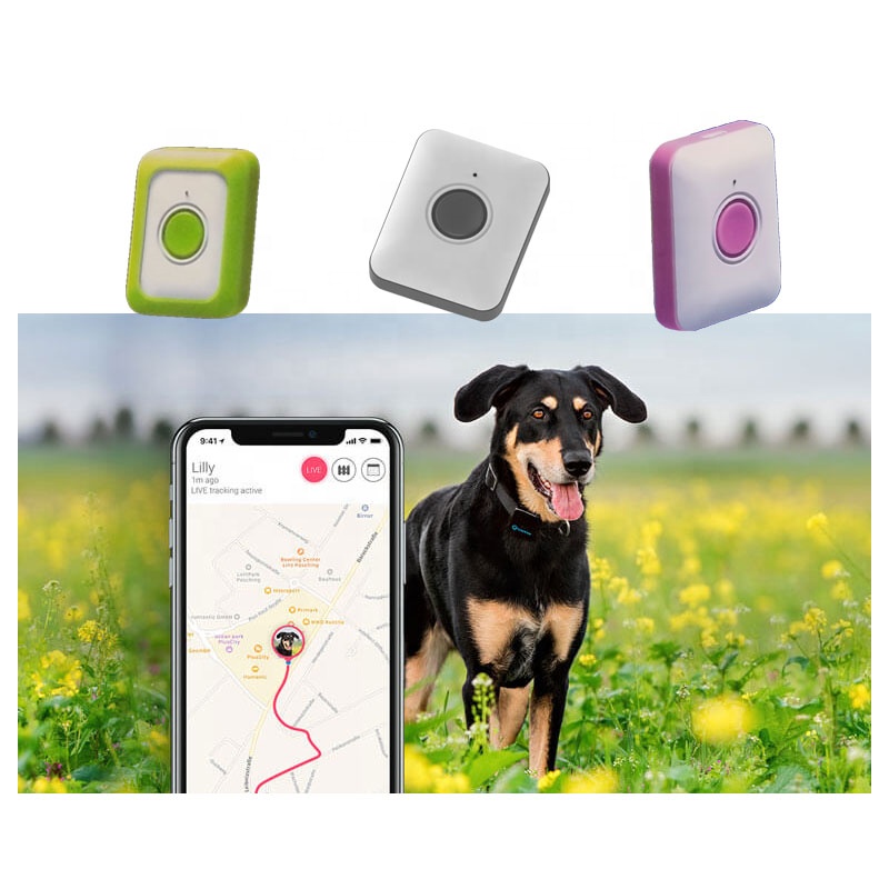 Водонепроницаемый Gps-трекер для животных 4G